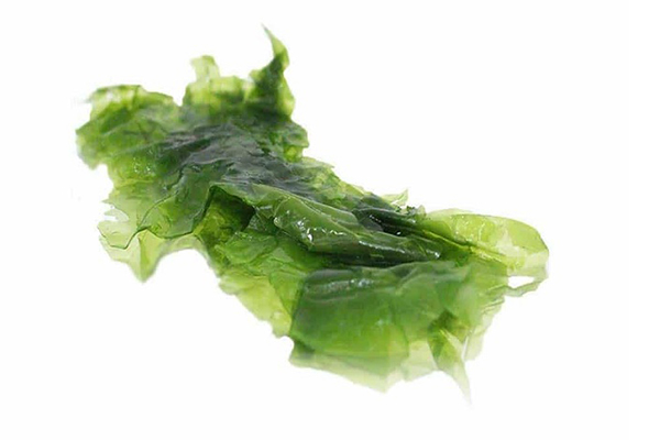 تفاوت جلبک خوراکی و غیرخوراکی
